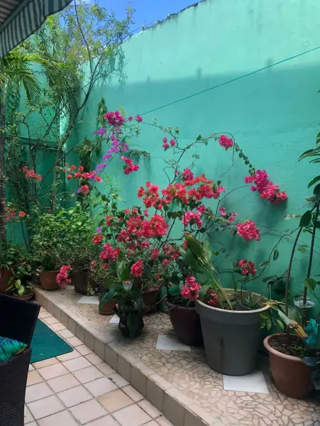Studio confortable à Fort-de-France de 25 m² avec balcon privé - Photo 2