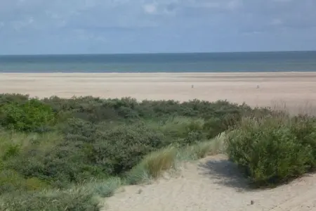 196750, La panne en mer - Photo 17