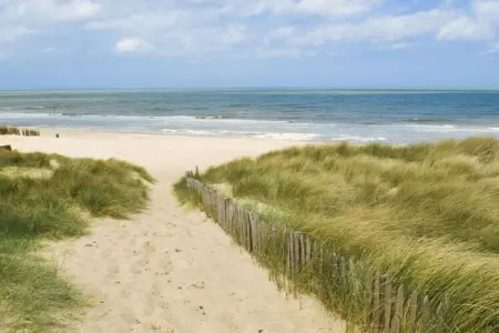 381616, Maison de vacances à La Panne avec barbecue - Photo 12