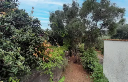 Maison 9 personnes à Vico del Gargano - Photo 14