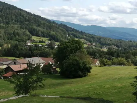 Appartement confortable à Cleurie avec jardin, Appartement 4 personnes à Cleurie - Photo 3
