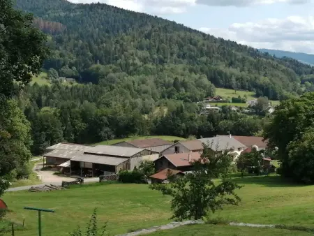 Appartement confortable à Cleurie avec jardin, Appartement 4 personnes à Cleurie - Photo 4