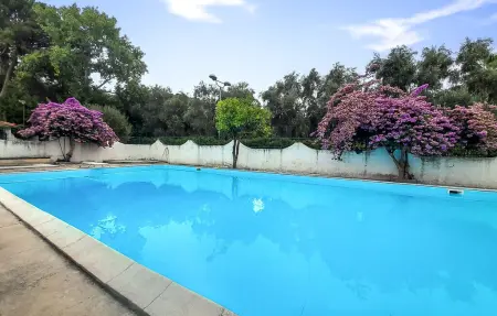 Appartement 5 personnes à Vico del Gargano - Photo 7