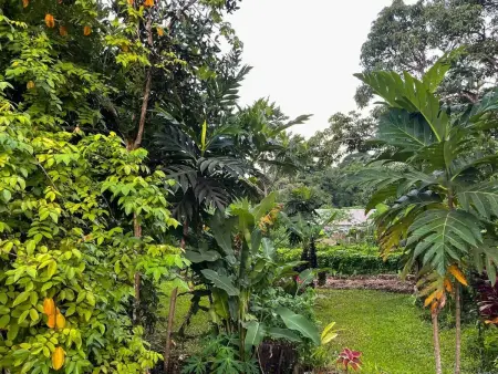 Appartement spacieux à Sainte-Rose, 70 m² avec jardin - Photo 17