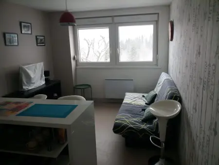 Studio confortable à Gérardmer de 27 m², Appartement 3 personnes à Gérardmer - Photo 21