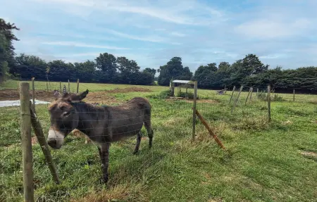 Agréable gite de campagne, Maison 5 personnes à Louargat - Photo 20