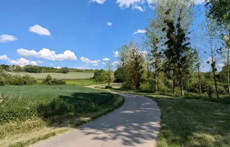 Maison 8 personnes à Monthenault - Photo 28