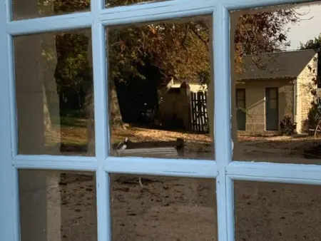 Gîte authentique en Touraine, piscine chauffée, animaux admis - Photo 4