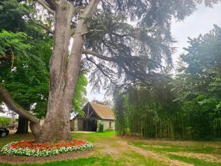 Gîte authentique en Touraine, piscine chauffée, animaux admis - Photo 34