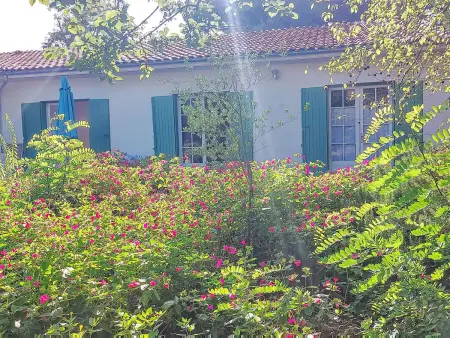 La Malaiguille, Maison 12 personnes à Île d'Oléron - Photo 52