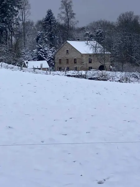 Maison à Fougerolles-Saint-Valbert avec jardin, Maison 9 personnes à Fougerolles Saint Valbert - Photo 17