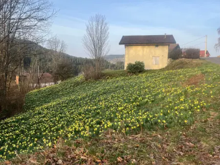 Maison 4 pers à Gérardmer entre lac et montagne avec terrasse - Photo 26
