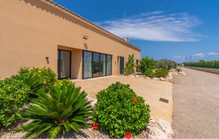 Son Alcaines, Maison 6 personnes à Sineu - Photo 24