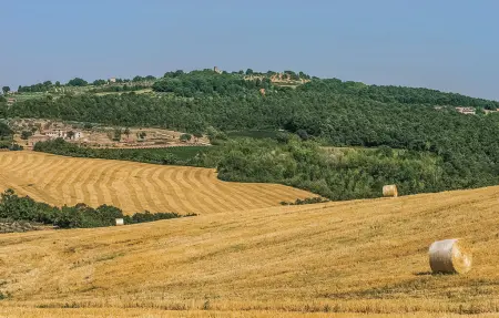Maison 8 personnes à Todi - Photo 8
