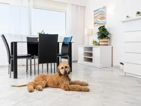 Appartement rénové sur la plage avec piscine à Benalmádena - Photo 8