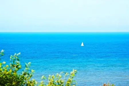 216078, Vue mer Atlantique - Photo 15