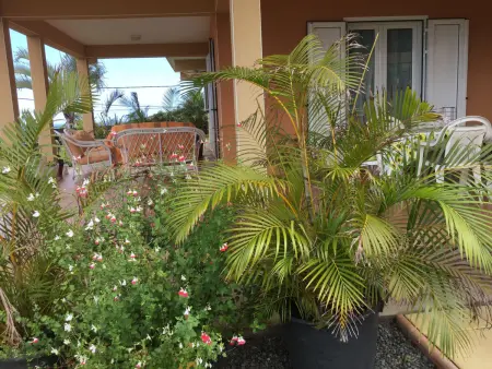 Grand appartement 2 chambres aux Avirons - Terrasse & Parking - Photo 5
