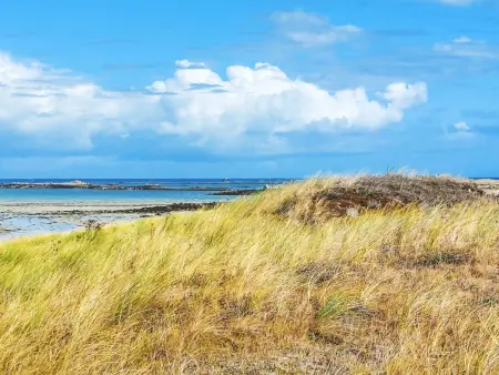 Entre Terre et Mer, Maison 8 personnes à Landéda - Photo 35