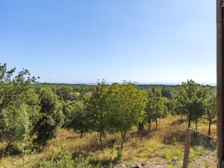 Casa Murato, Maison 6 personnes à Cervione Castagniccia - Photo 25
