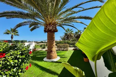 Golf Center 15 B-3, Appartement près de Playa Serena et du club de golf - Photo 19