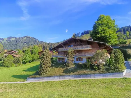 Malgré-tout, Appartement 2 personnes à Saanen - Photo 2