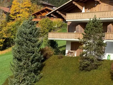 Malgré-tout, Appartement 2 personnes à Saanen - Photo 3