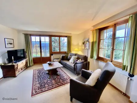 Malgré-tout, Appartement 2 personnes à Saanen - Photo 12