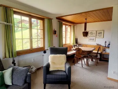 Malgré-tout, Appartement 2 personnes à Saanen - Photo 14
