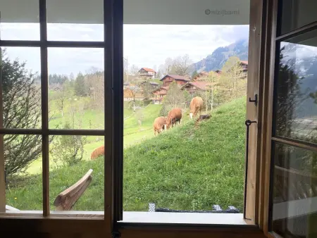 Malgré-tout, Appartement 2 personnes à Saanen - Photo 20