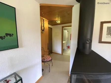 Malgré-tout, Appartement 2 personnes à Saanen - Photo 21