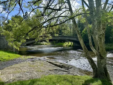 Boogie House, Une oasis de calme au cœur de la verdure - Photo 31