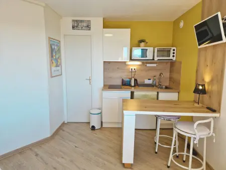 Studio 2 pers au pied des pistes - Ski et rando, Appartement 2 personnes à Saint Michel de Chaillol - Photo 6