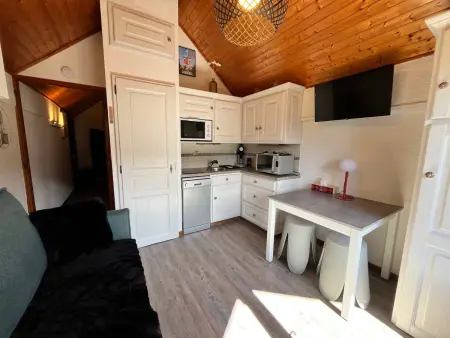 Studio cosy au centre de Samoëns, animaux acceptés - Photo 1