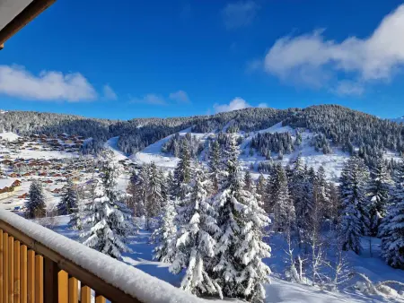 Appartement neuf 3 pièces, 6 pers, terrasse, parking, Les Saisies - Photo 15