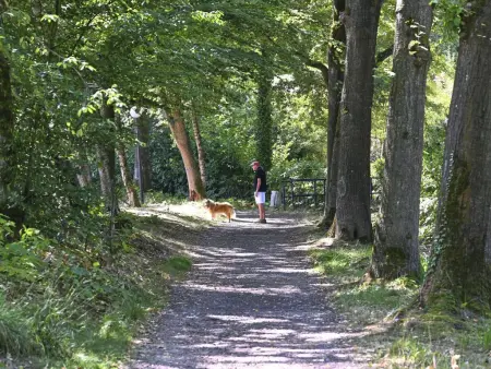 Hoeve Sonnevijver, Belle maison dans les bois au bord de l'eau - Photo 37