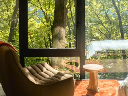 Cabane dans les arbres, Une cabane dans les arbres au cœur de La Roche - Photo 2