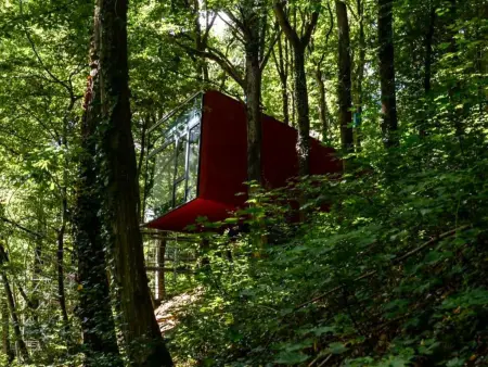 Cabane dans les arbres, Une cabane dans les arbres au cœur de La Roche - Photo 16