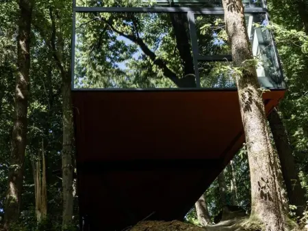 Cabane dans les arbres, Une cabane dans les arbres au cœur de La Roche - Photo 19