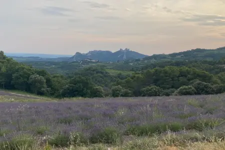 Le Mas d'à côté, Mas avec piscine en Provence - Photo 26