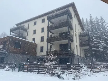 Les 2 Alpes : Appartement 3 pièces 6 pers avec jardin - Photo 15