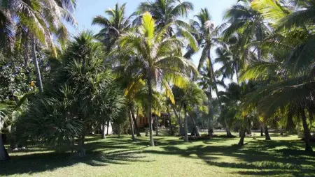 Spacieuse villa avec piscine privée à Saint-Gilles les Bains 300 m² - Photo 11