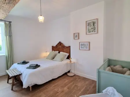Gîte Charme et Confort à Saint-Haon-le-Châtel, Animaux admis - Photo 22