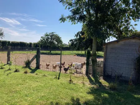 Charmante maison en pierre avec jardin, à proximité de la mer - Photo 17