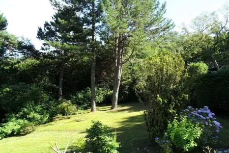 216733, Maison de vacances Les Colombines - Photo 3