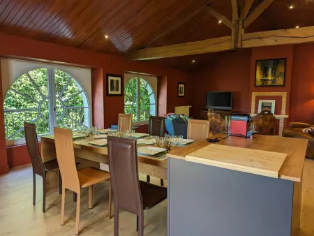 Grande maison avec piscine privée, wifi et animaux acceptés pour 15 pers. - Photo 8
