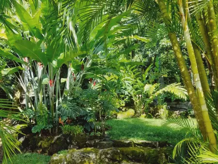 Maison de campagne à St Joseph pour découverte du sud sauvage - Photo 5