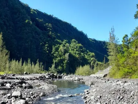 Maison de campagne à St Joseph pour découverte du sud sauvage - Photo 11