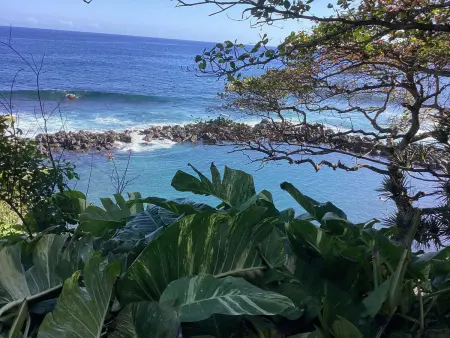 Maison de campagne à St Joseph pour découverte du sud sauvage - Photo 19