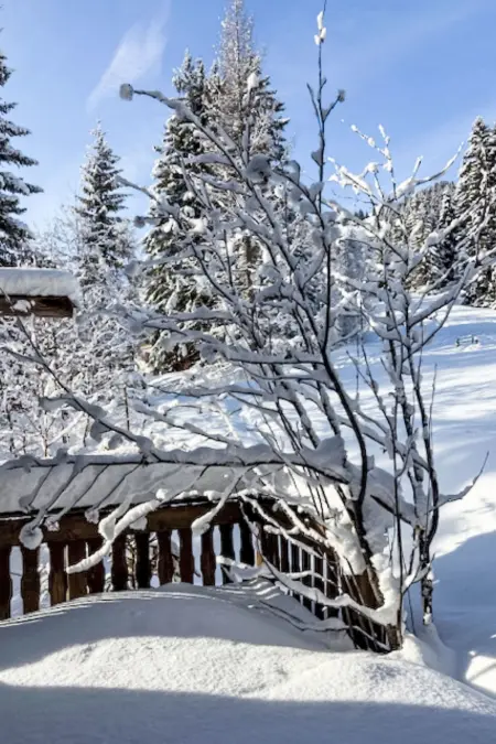 Rodas Soura 5, Chalet 6 personnes à Savognin - Photo 28