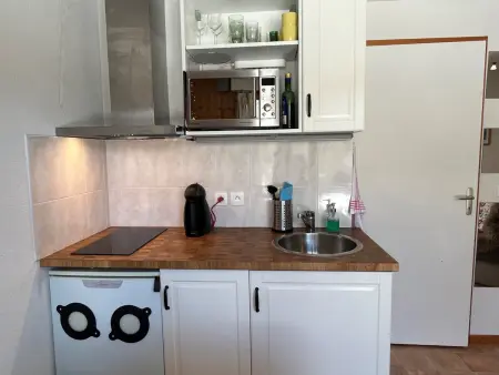Appartement Châtel 4 pers, terrasse, parking, Appartement 4 personnes à Châtel - Photo 4